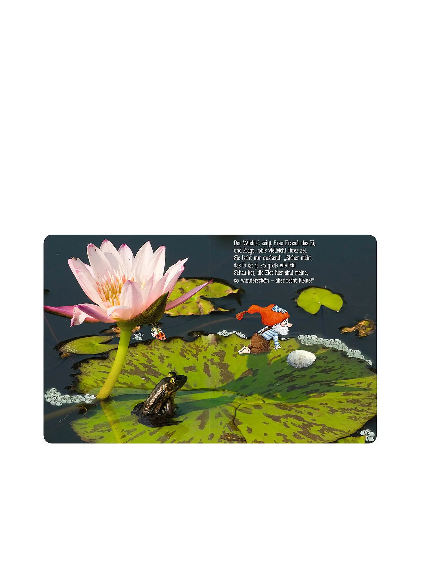 ARS EDITION VERLAG | Buch - Frühling im Wichtelwald | 